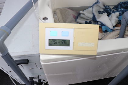 酸素系漂白剤で毛布を洗う 温度管理